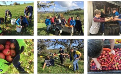 Naturwerker – Wir bewegen was!