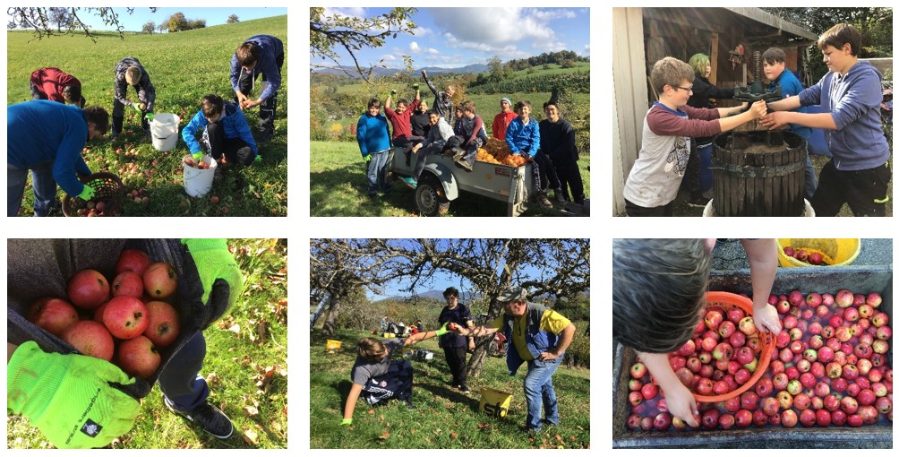 Naturwerker – Wir bewegen was!